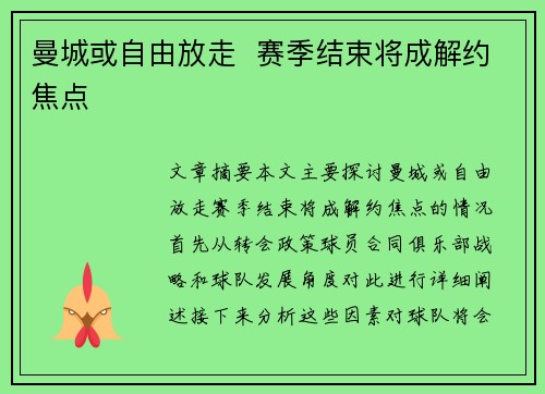 曼城或自由放走  赛季结束将成解约焦点